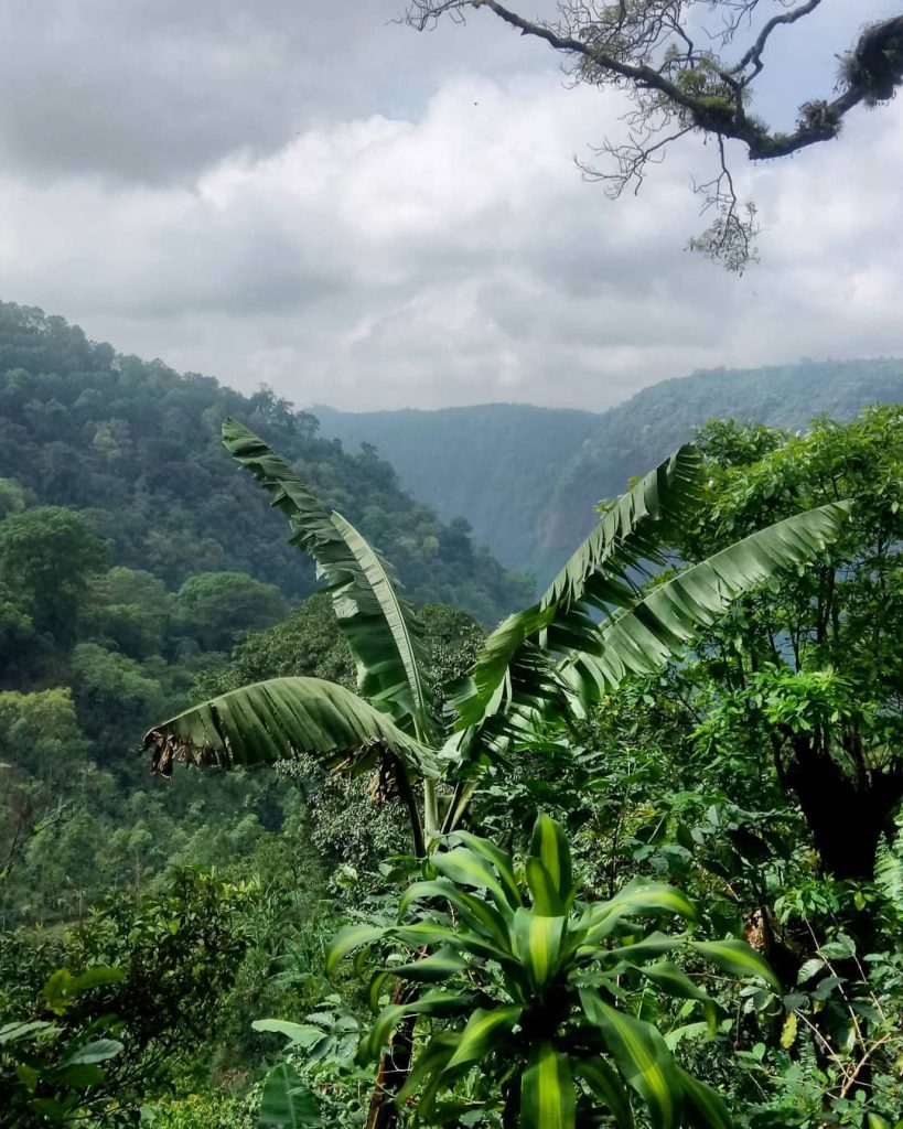 Guatemala